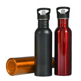 Gourdes en acier inoxydable avec pailles