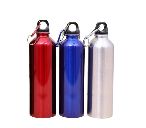 gourde inox