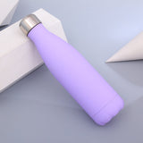 bouteille isotherme inox