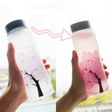bouteille borosilicate pratique