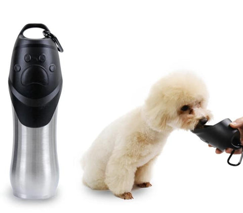 gourde en inox pour chien